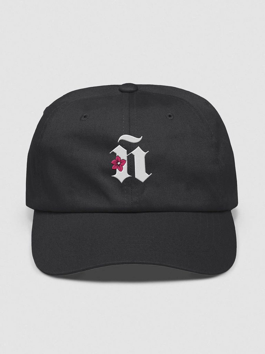 Ñ Gorra Bordada product image (1)