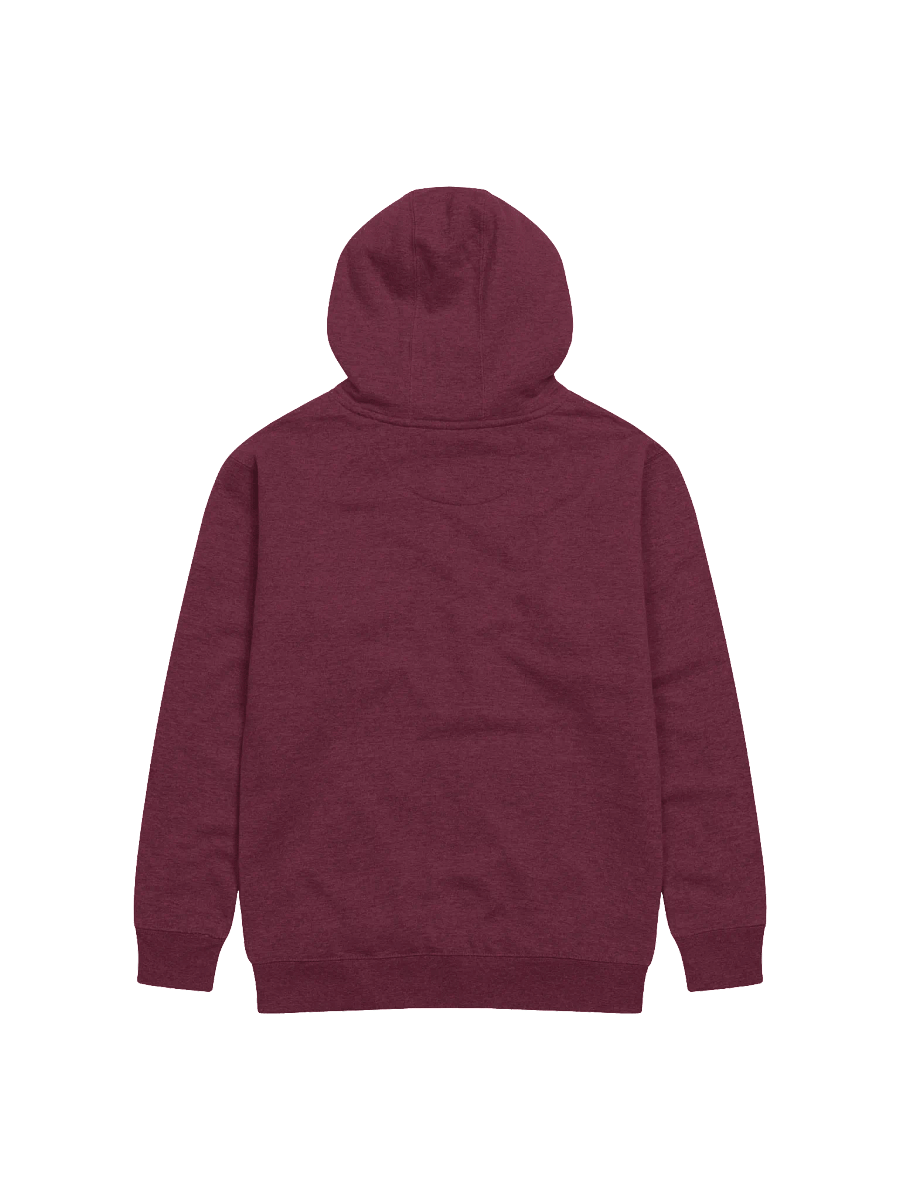 HOMETOWN PRIDE - HOODIE product image (2)