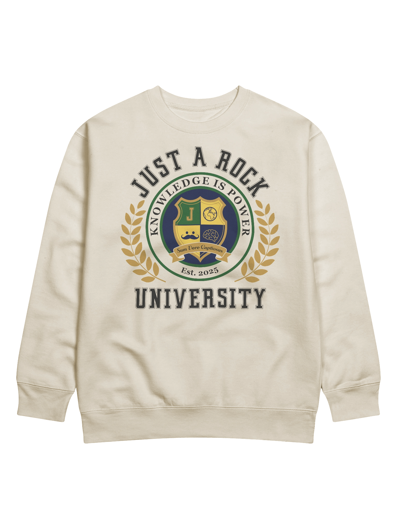 University Sweatshirt product image (1)