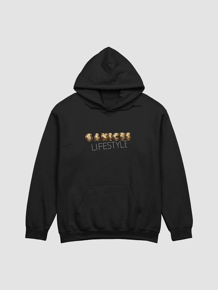 Ganice's Lifestyle: Quote Hoodie product image (8)