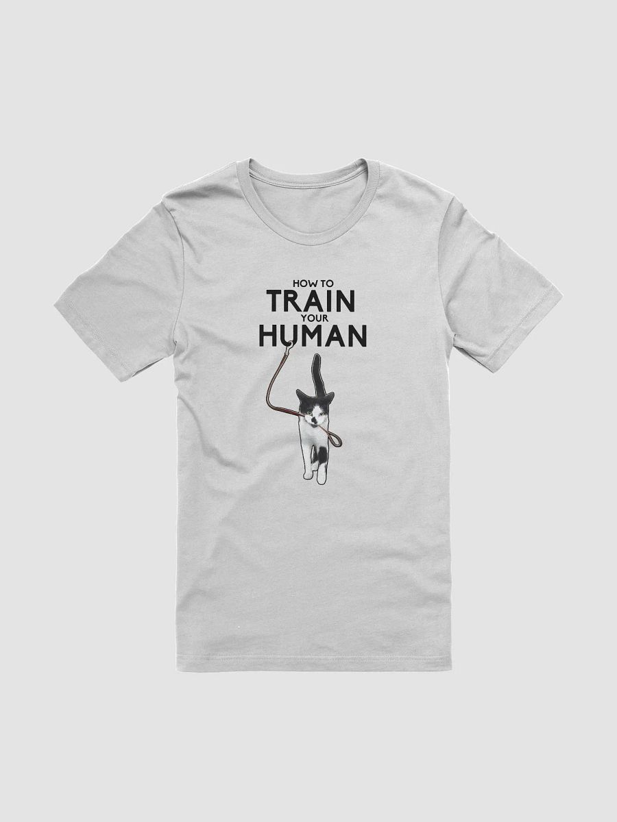 How to Train Your Human product image (4)