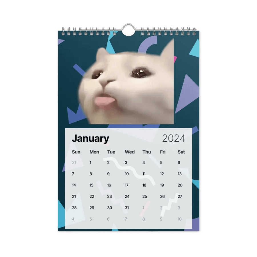 Wall Calendar (2024): Meme Cats product image (8)