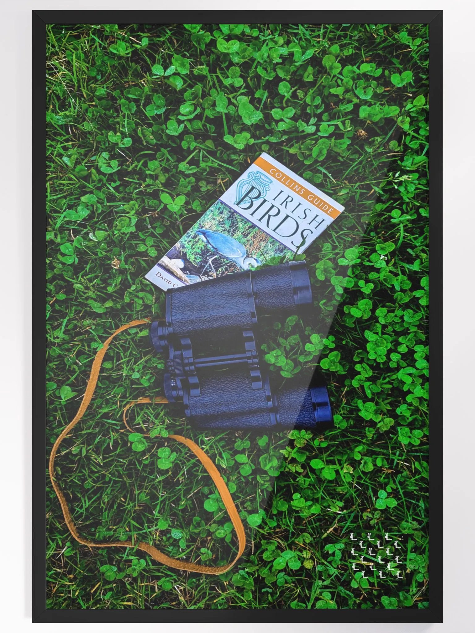 Birdwatching at Blackrock - Framed Print product image (4)