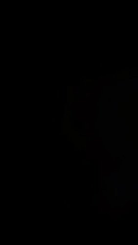 Some thoughts on herbal medicine and aboard shun.