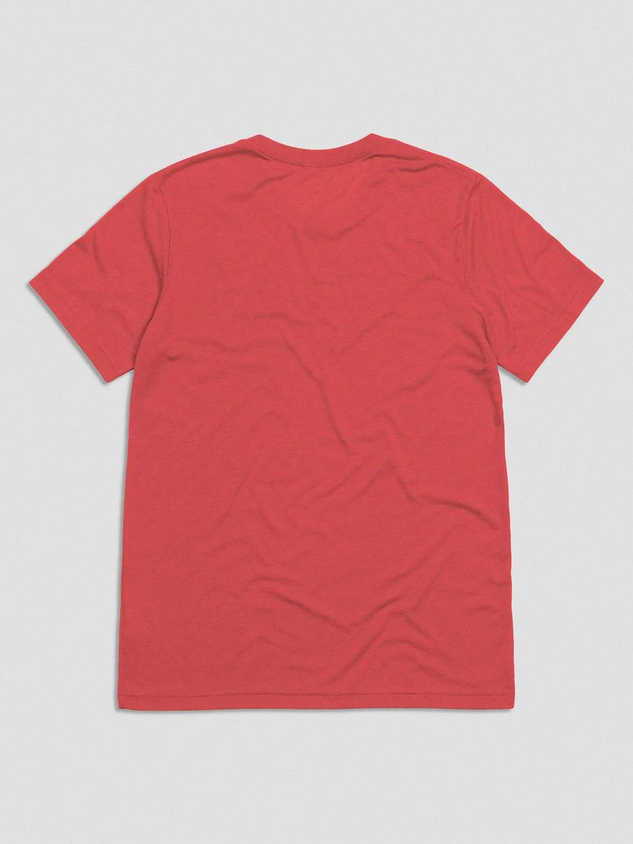 Pedantic T-Shirt (White Text, Tri-Blend) product image (13)