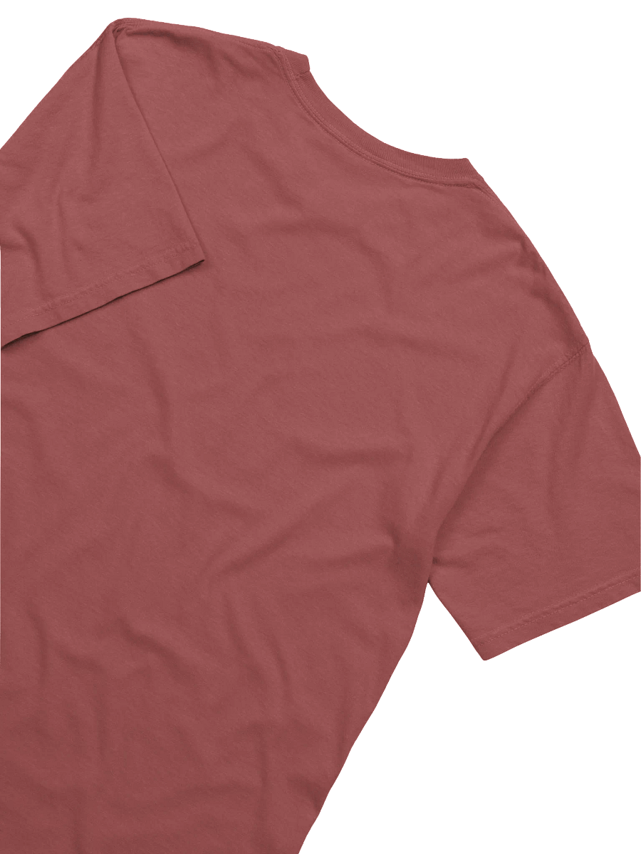 SauTor Comfort Colors Garment-Dyed Heavyweight T-Shirt product image (4)
