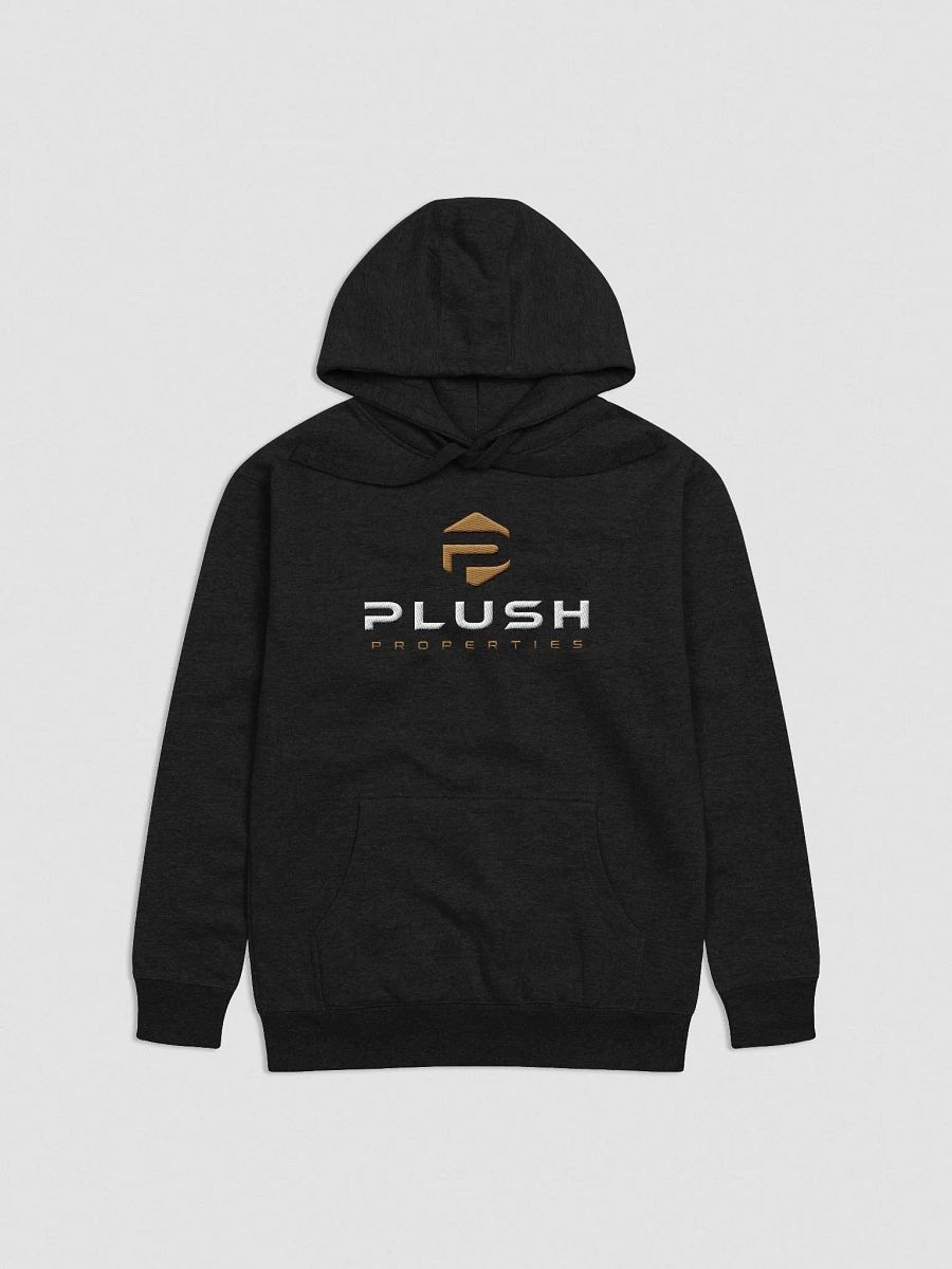 Plush Unisex Embroidery Hoodie product image (1)