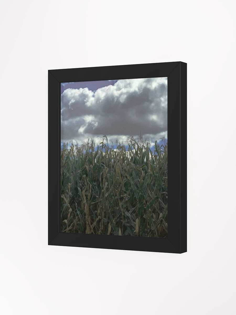 Hebron Cornfield Framed Poster product image (69)