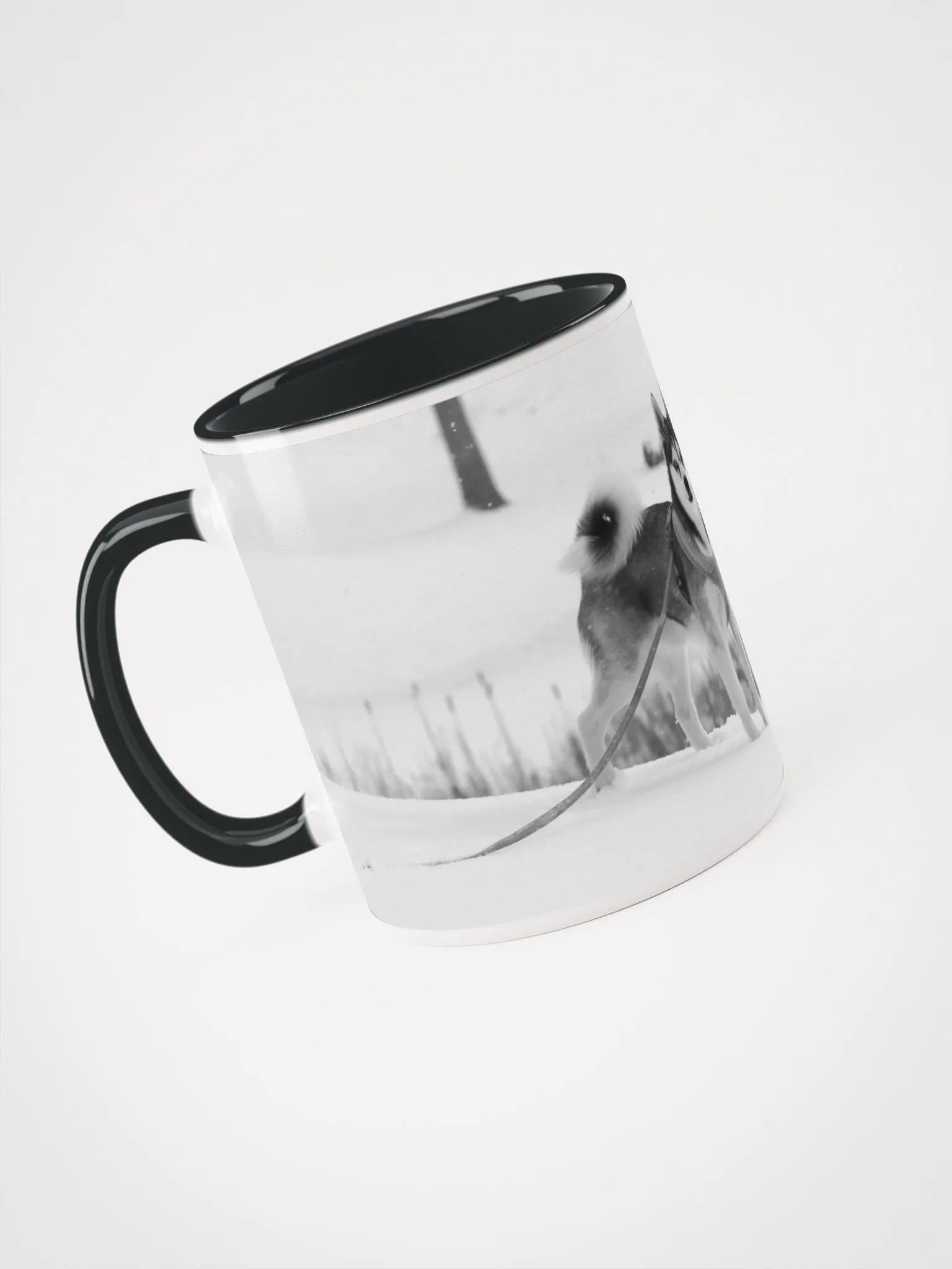 Cute Klee Kai Puppy - Black & White product image (5)