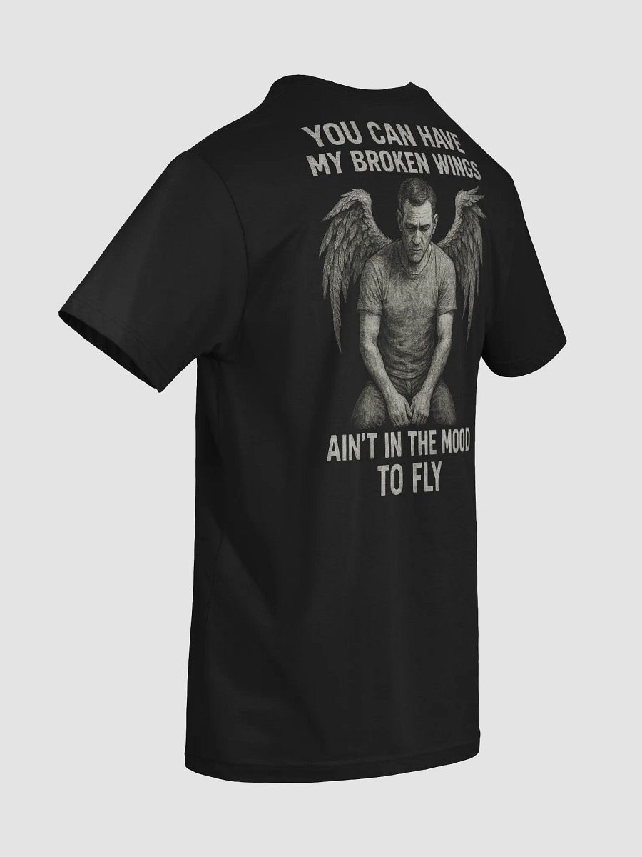 Ain't In The Mood To Fly product image (6)