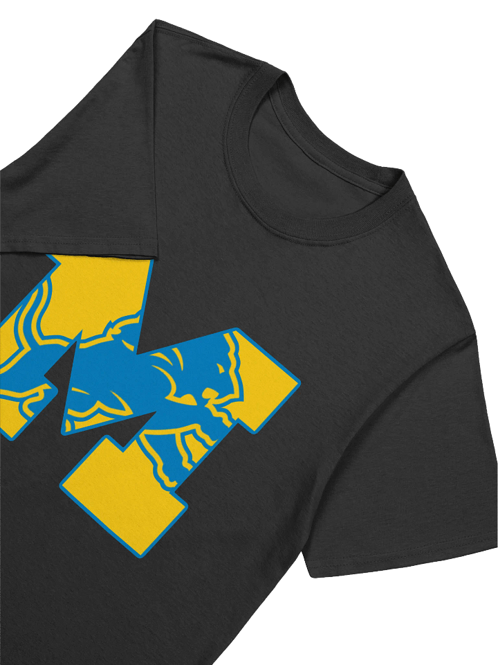 Michigan Lions product image (2)