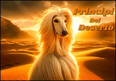 PrincipiDelDeserto