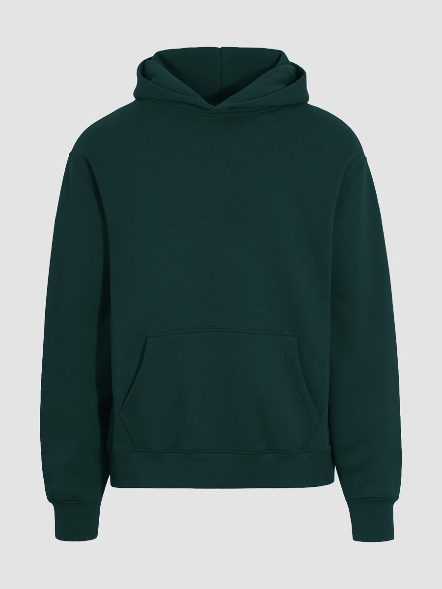 Gankers Pay The Price Premium Oversized Hoodie product image (5)
