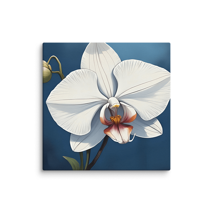 Single White Orchid Canvas product image (12)