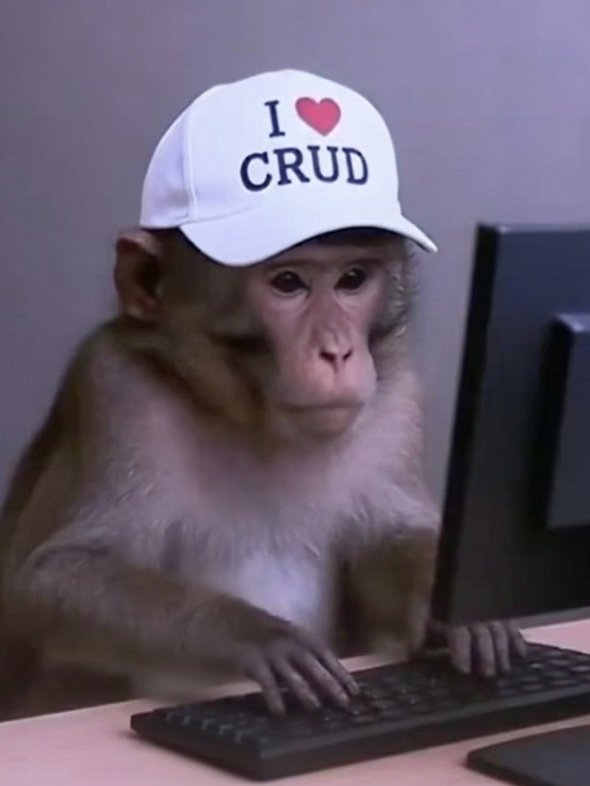 i'm a crud monkey hat - 100% cotton (by @dhh) product image (2)