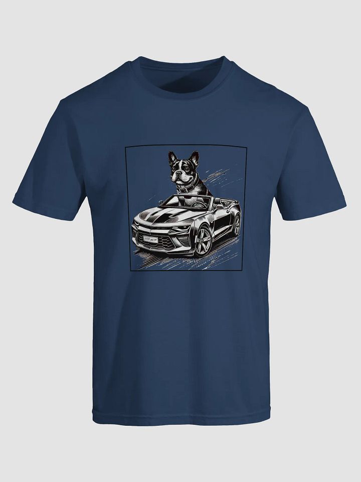 Boston Tee product image (4)