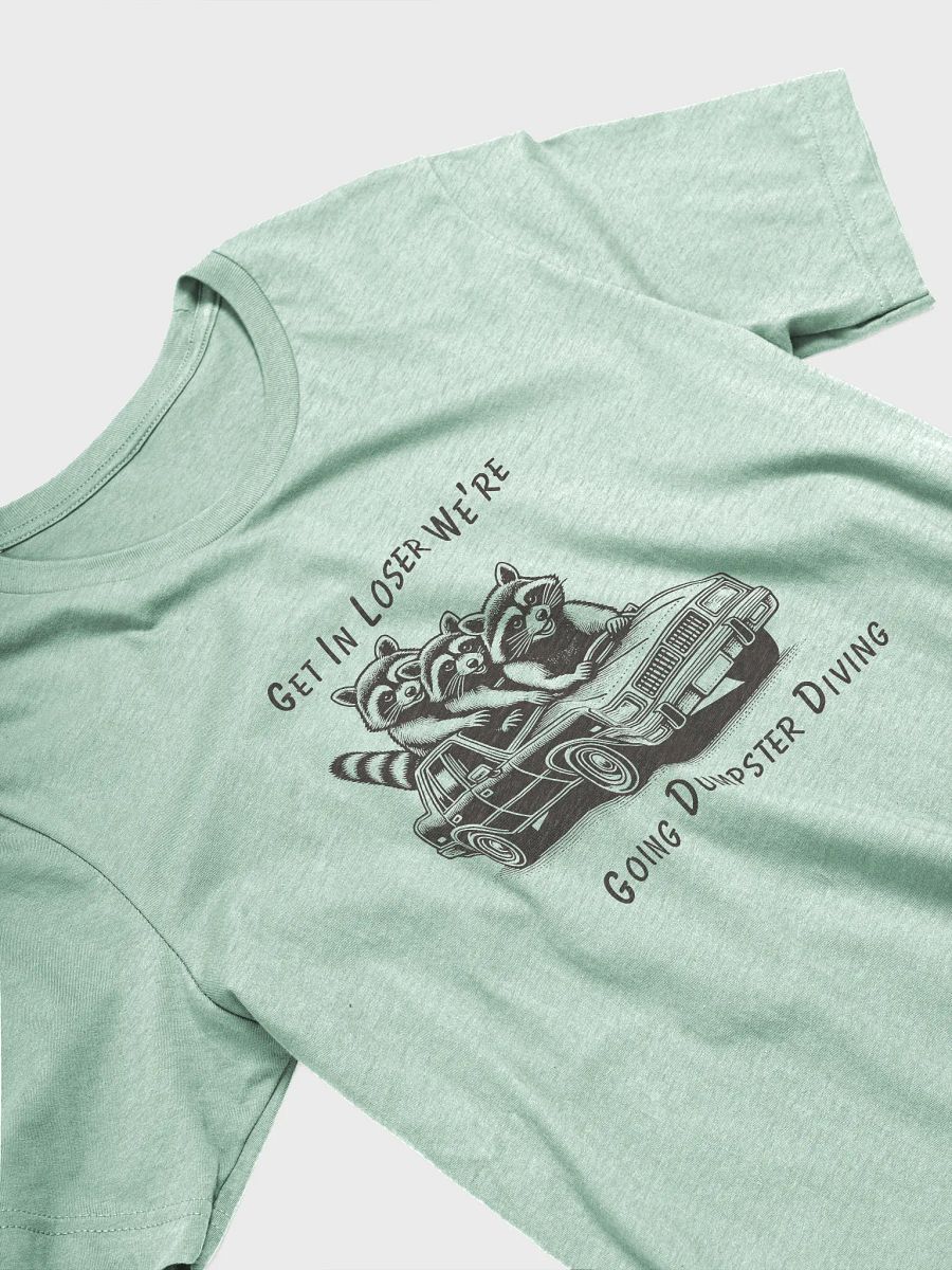 Raccoon Road Trip product image (23)