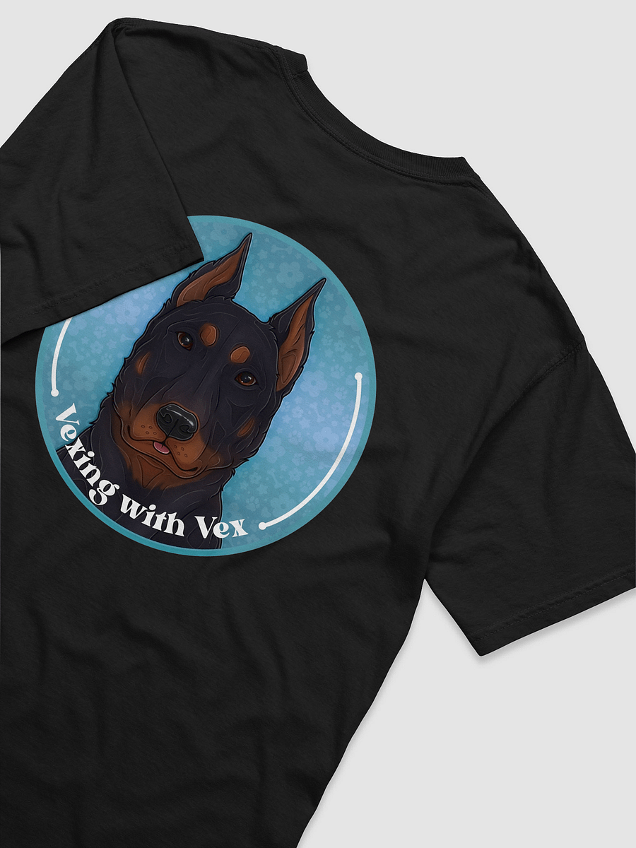 Vexing With Vex Logo Tee - Frostbite product image (3)