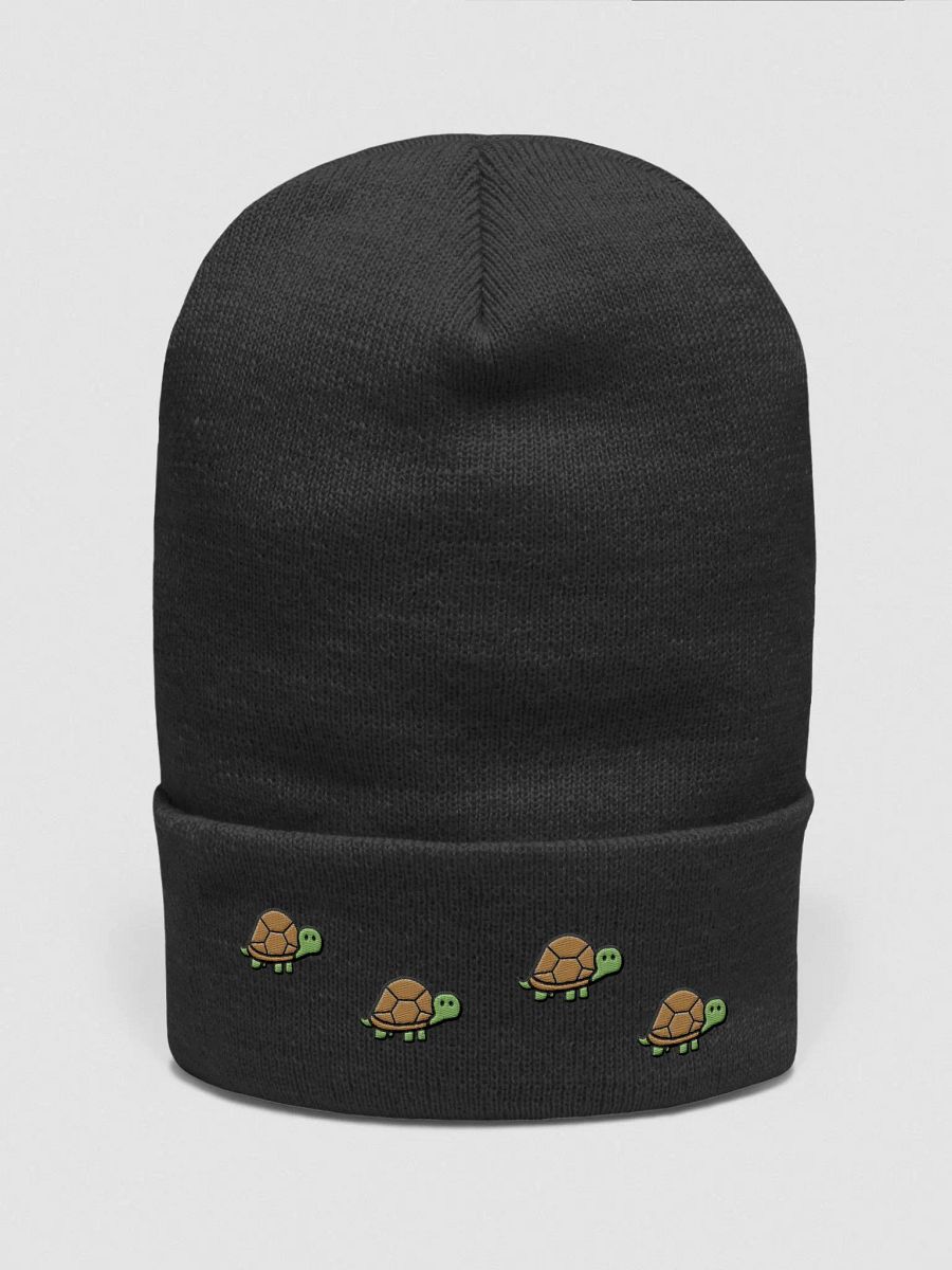 speedy turtle product image (1)