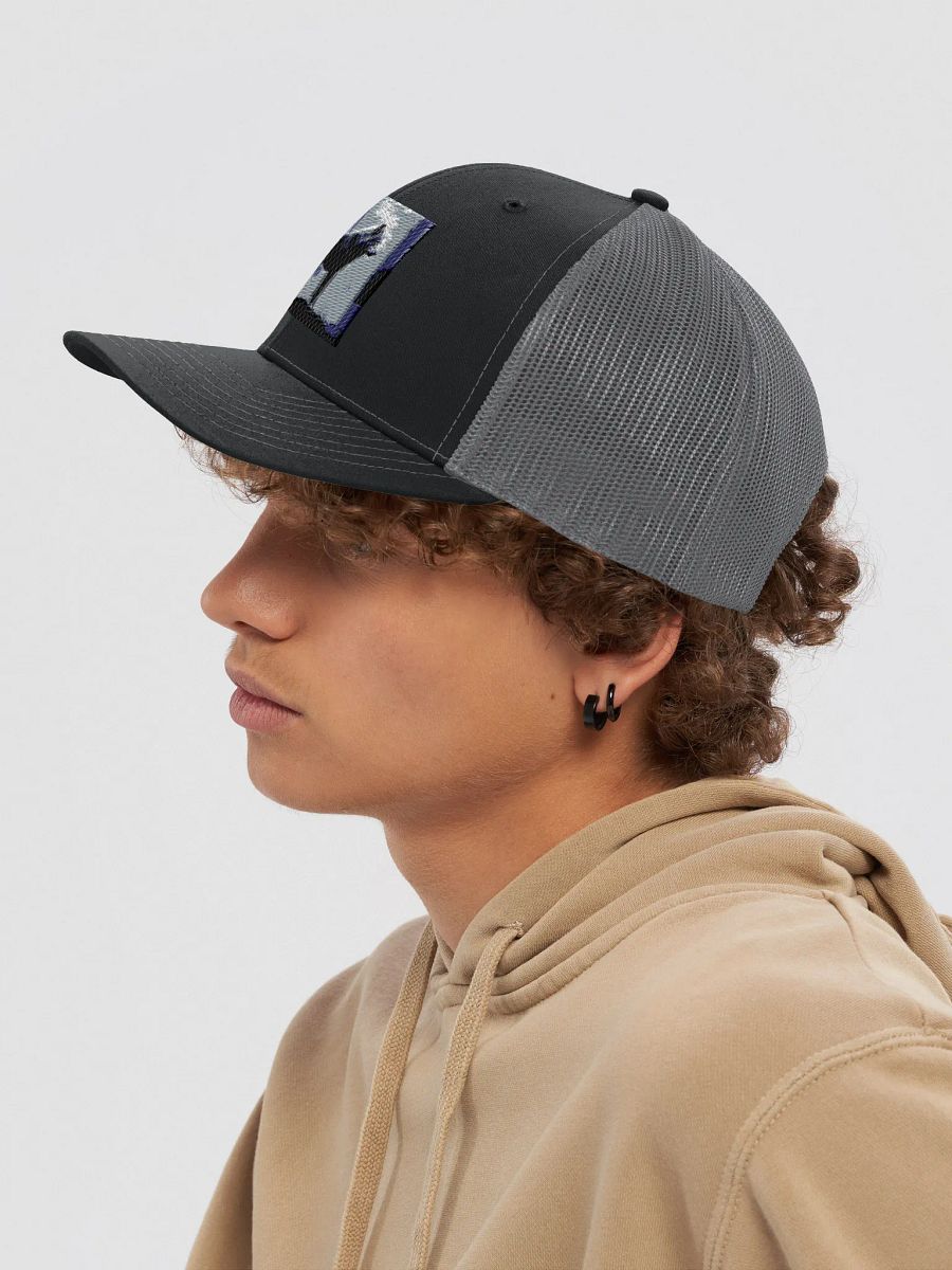 beautiful cap with a wolf logo product image (7)