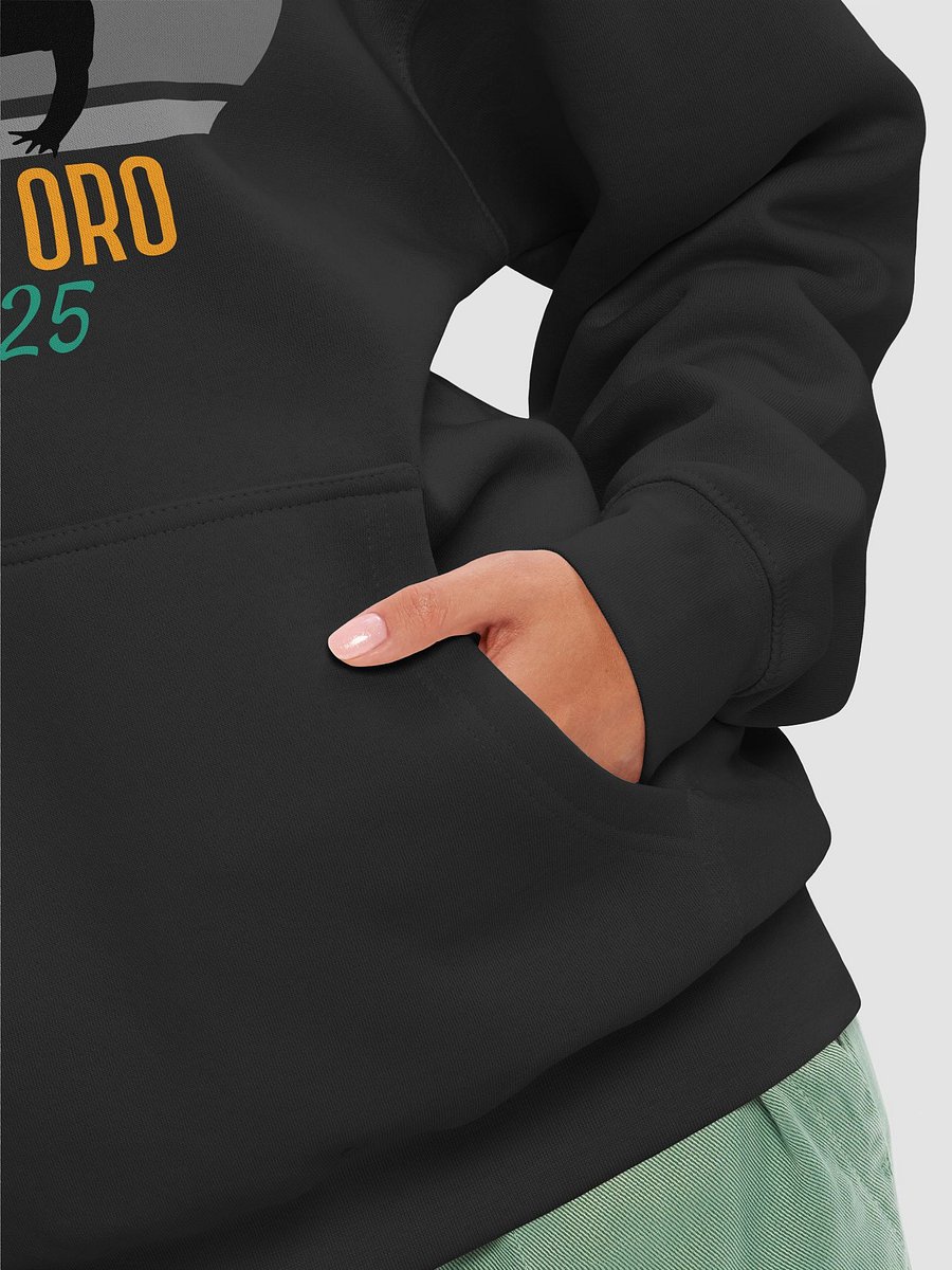 Gold Cup 2025 Soccer Silhouette Hoodie product image (8)
