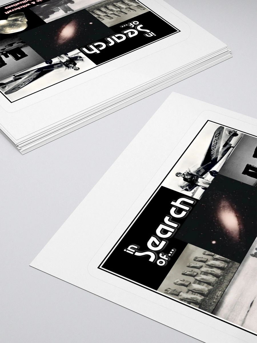 In Search Of...The Sticker product image (10)