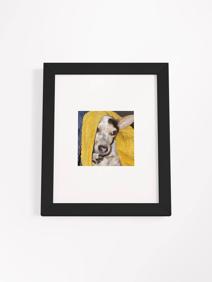 Bronx the Adorable product image (1)