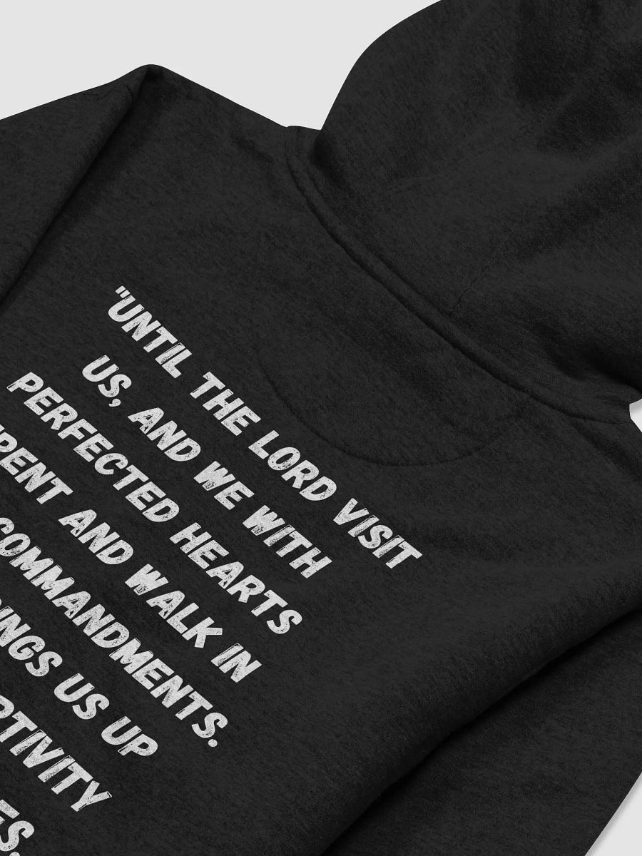 PHS (BLK) Hoodie product image (4)