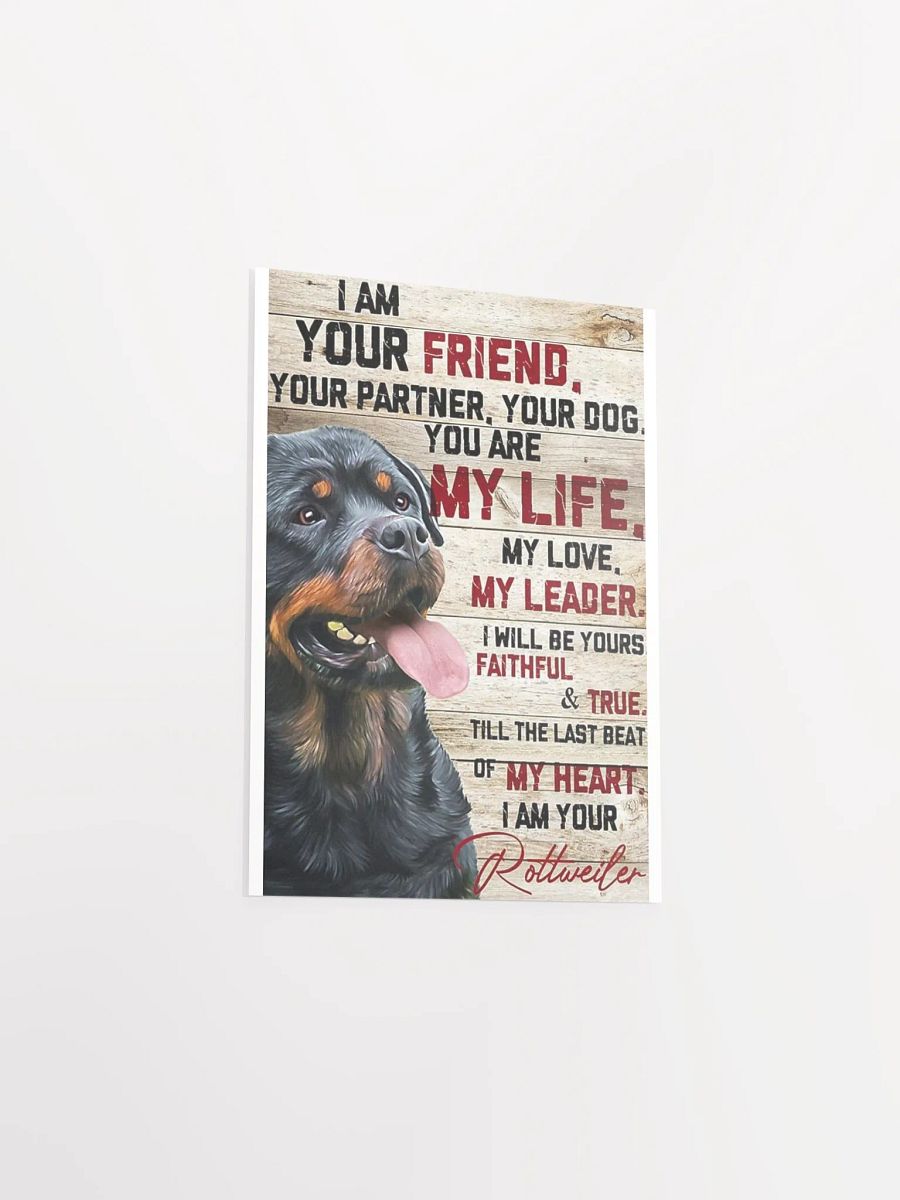 Rottweiler Poster product image (12)