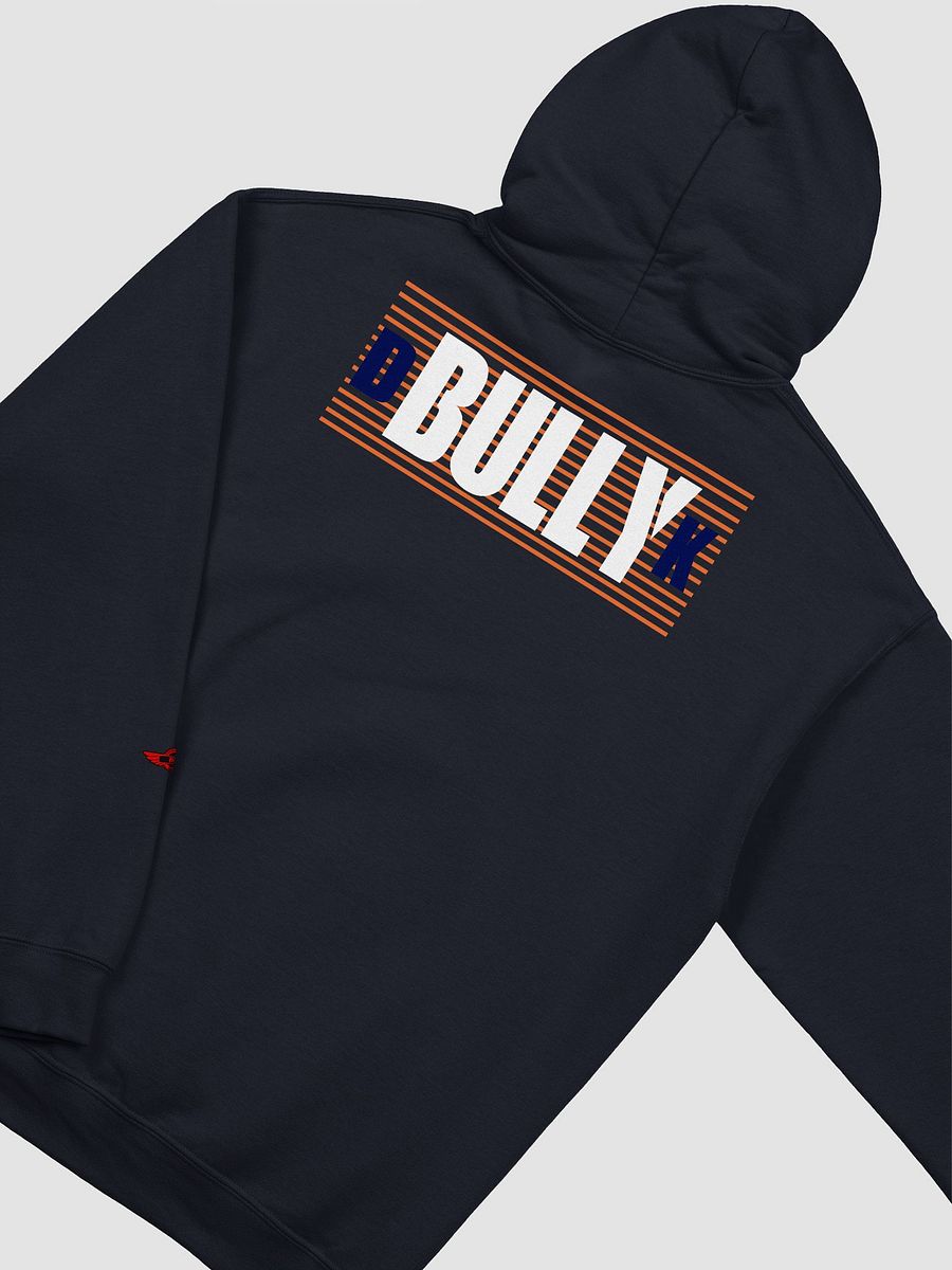 UNDERSTAND FULLY (HOODIE ) LD product image (4)
