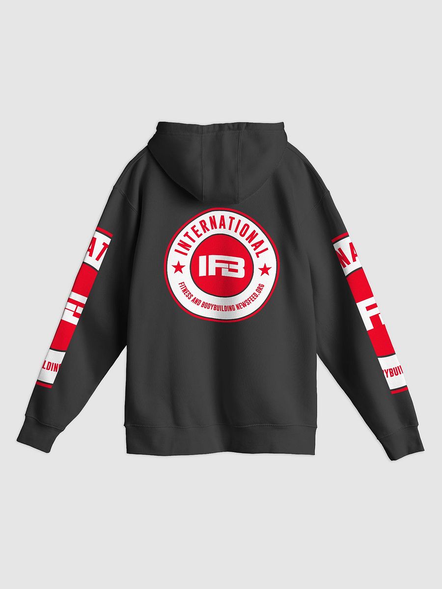 IFBNewsfeed.Org's Lane Seven Premium Pullover Hoodie product image (2)