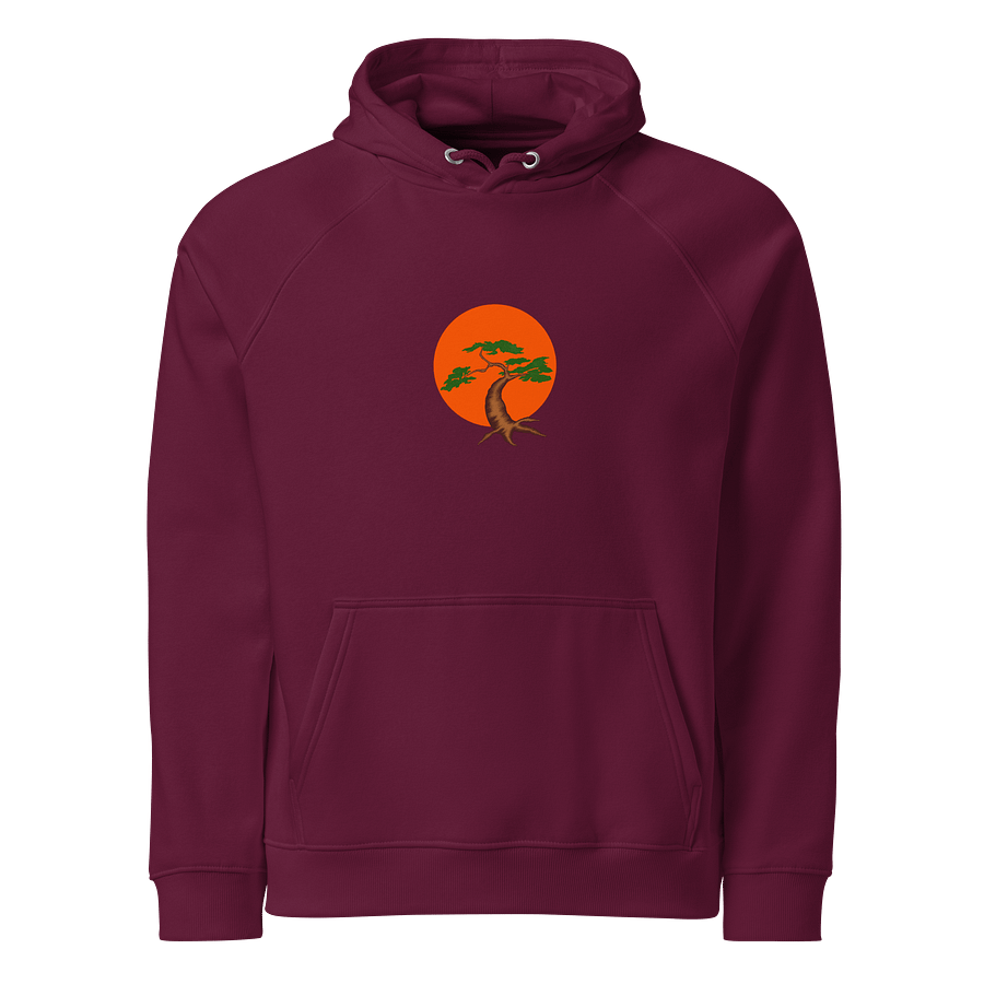 Bonsai Tree Eco Raglan Hoodie product image (1)