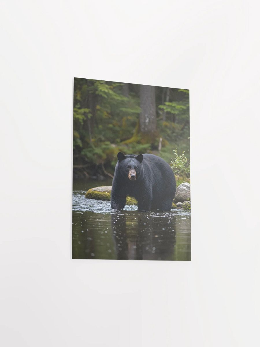 Smoky Mountain Black Bear Cove Poster product image (11)