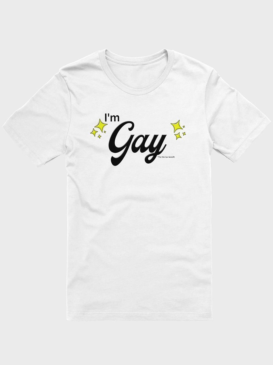 I'm Gay (for the tax benefit) Charity Tee product image (1)