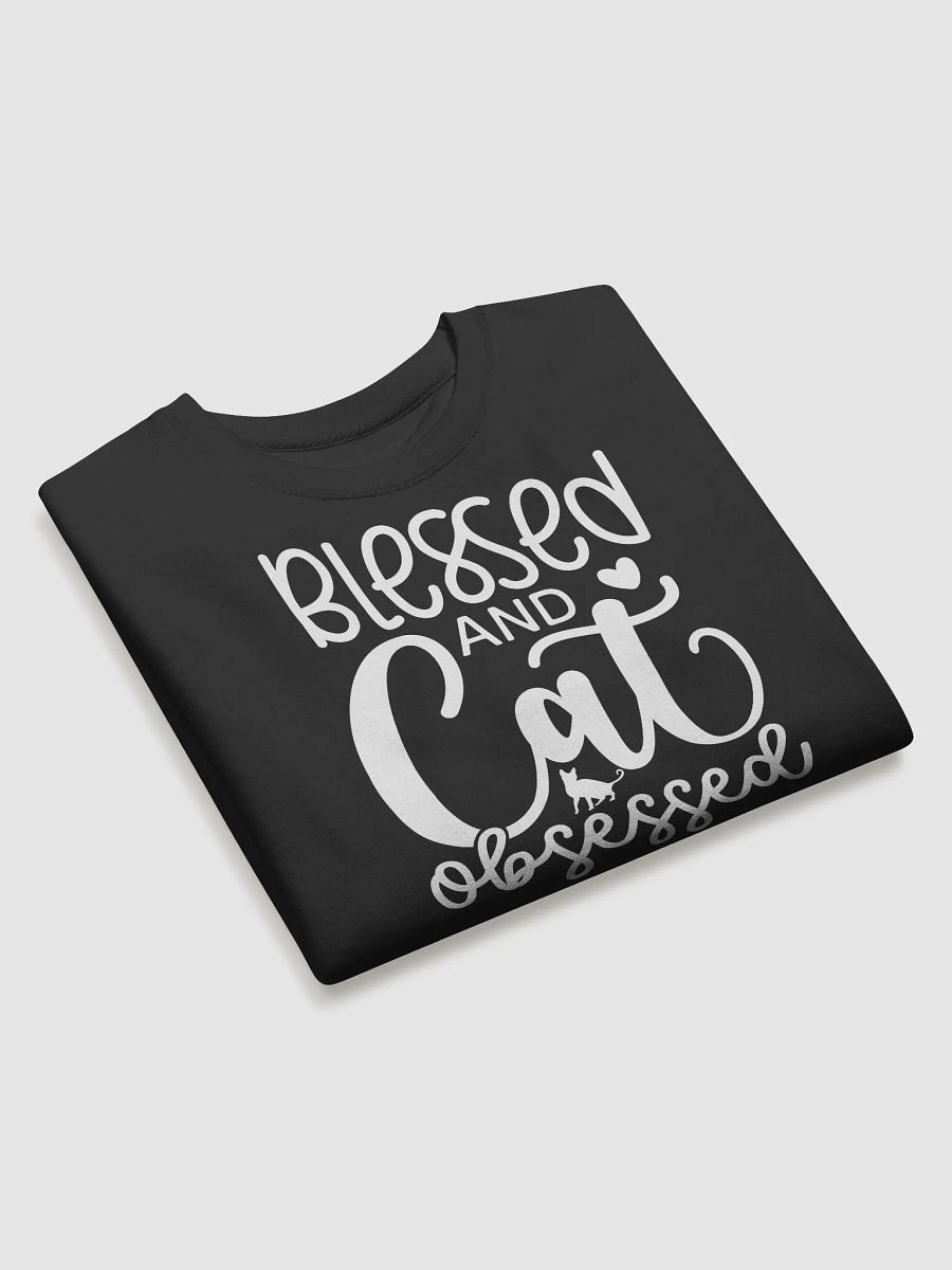 Blessed And Cat Obsessed Hoodie product image (3)