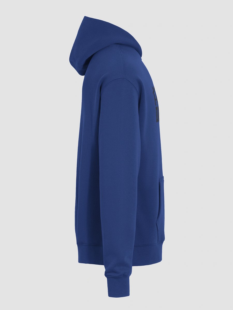Hockey Dad Premium Oversized Hoodie product image (15)