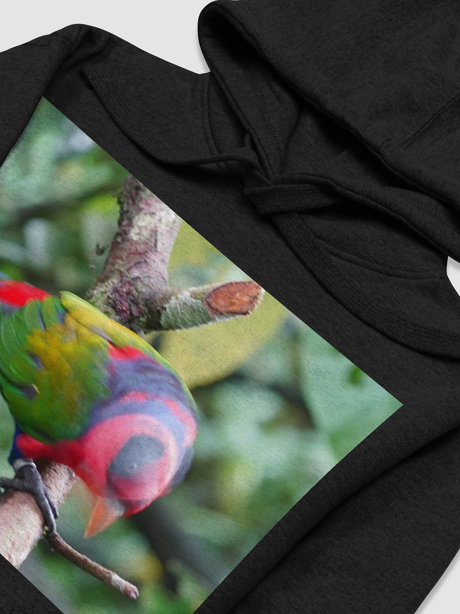 Colorful Plumage Unisex Hoodie product image (3)