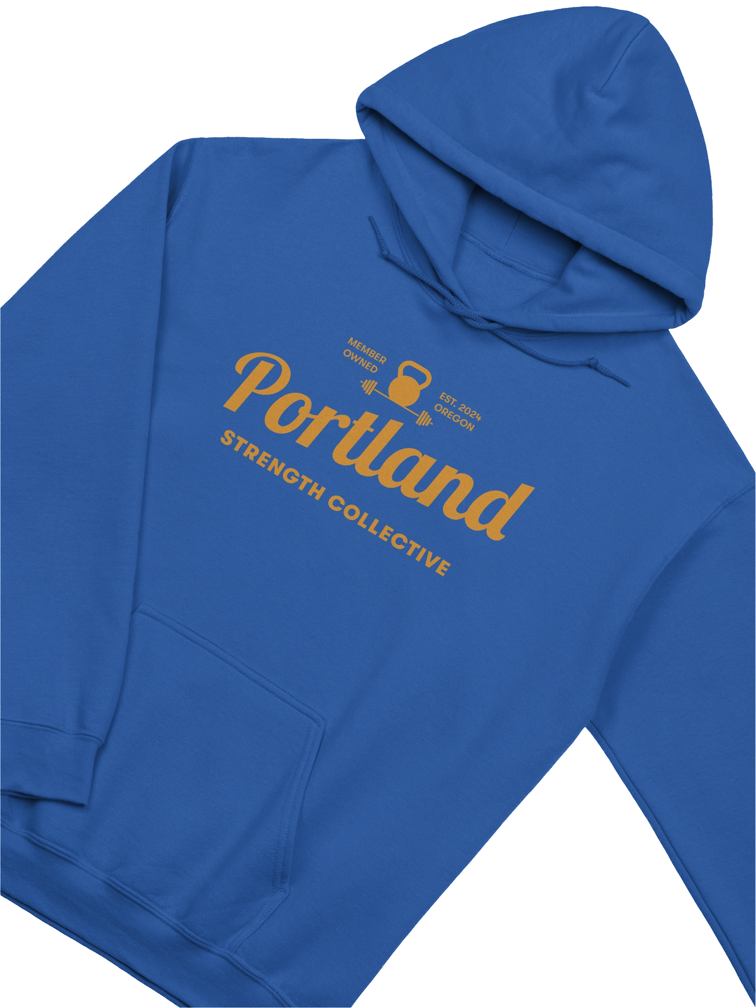 PSC "Say Cheese" Hoodie (Gold Logo) product image (18)