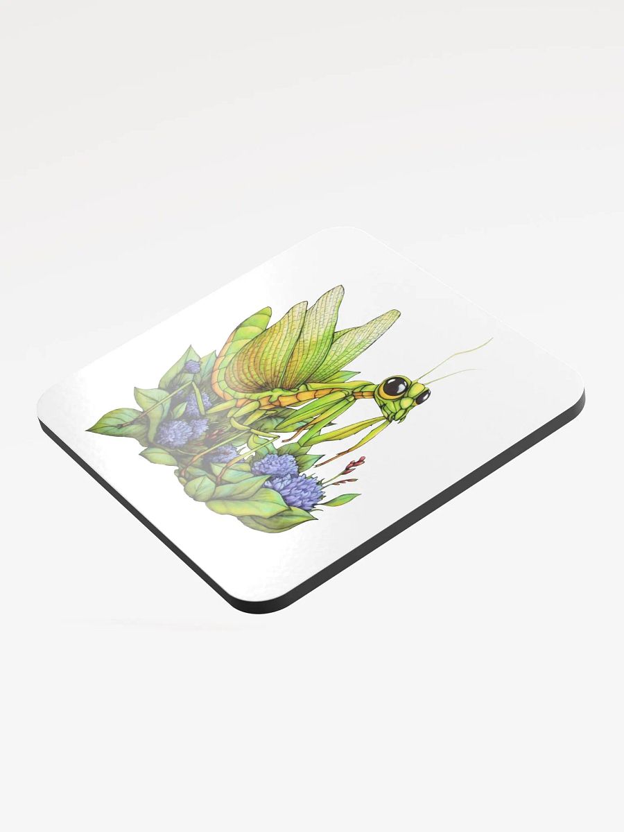 Mantis sous-verres/coasters product image (3)