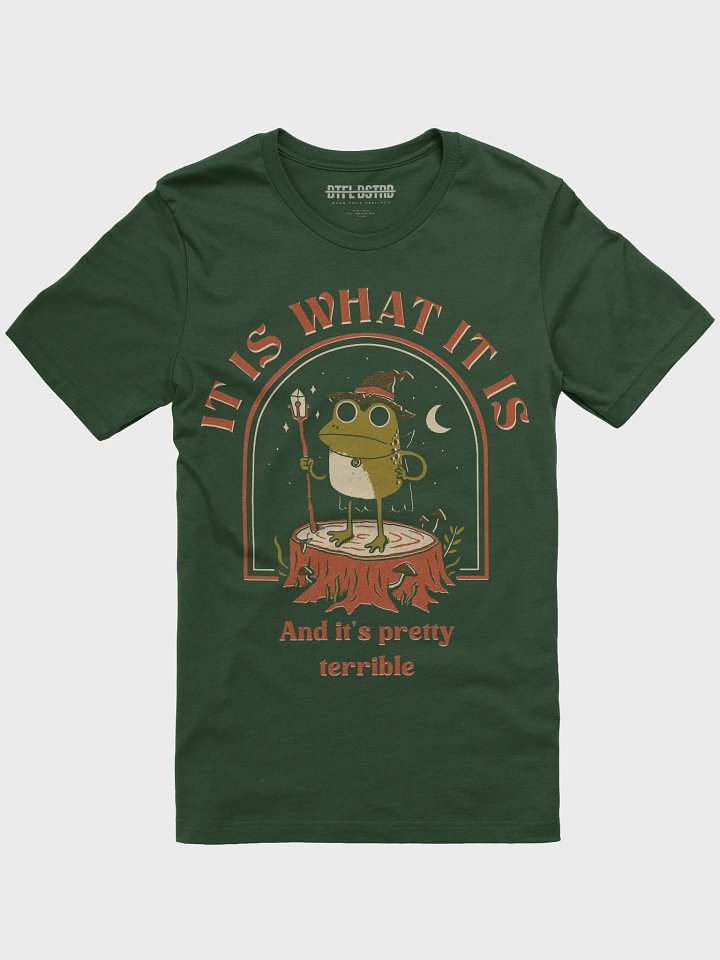 It Is What It Is - Summer Tee product image (1)