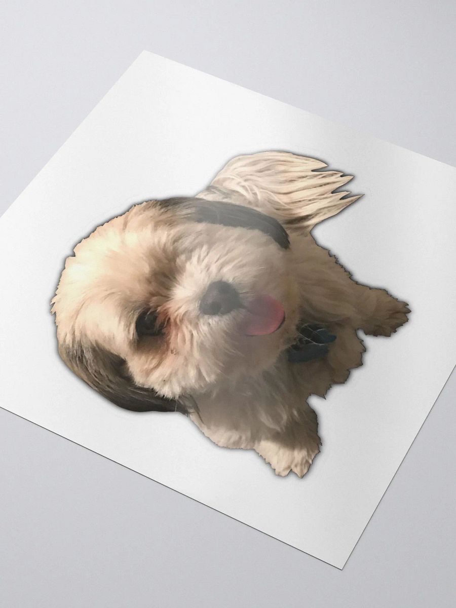 Scruffy Bug product image (3)