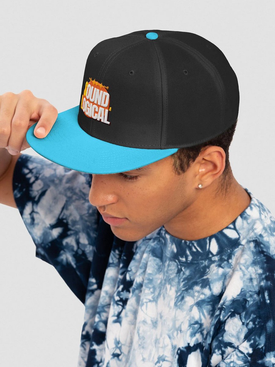 Sound and Logical Snapback Cap product image (97)