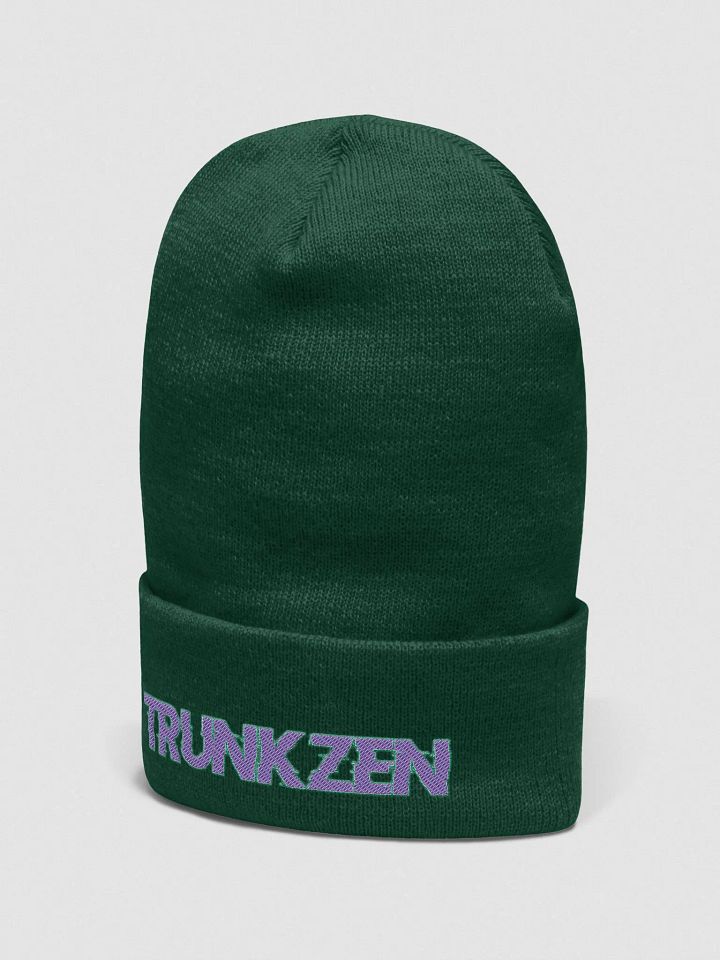 TrunkZen Beanie2 product image (17)
