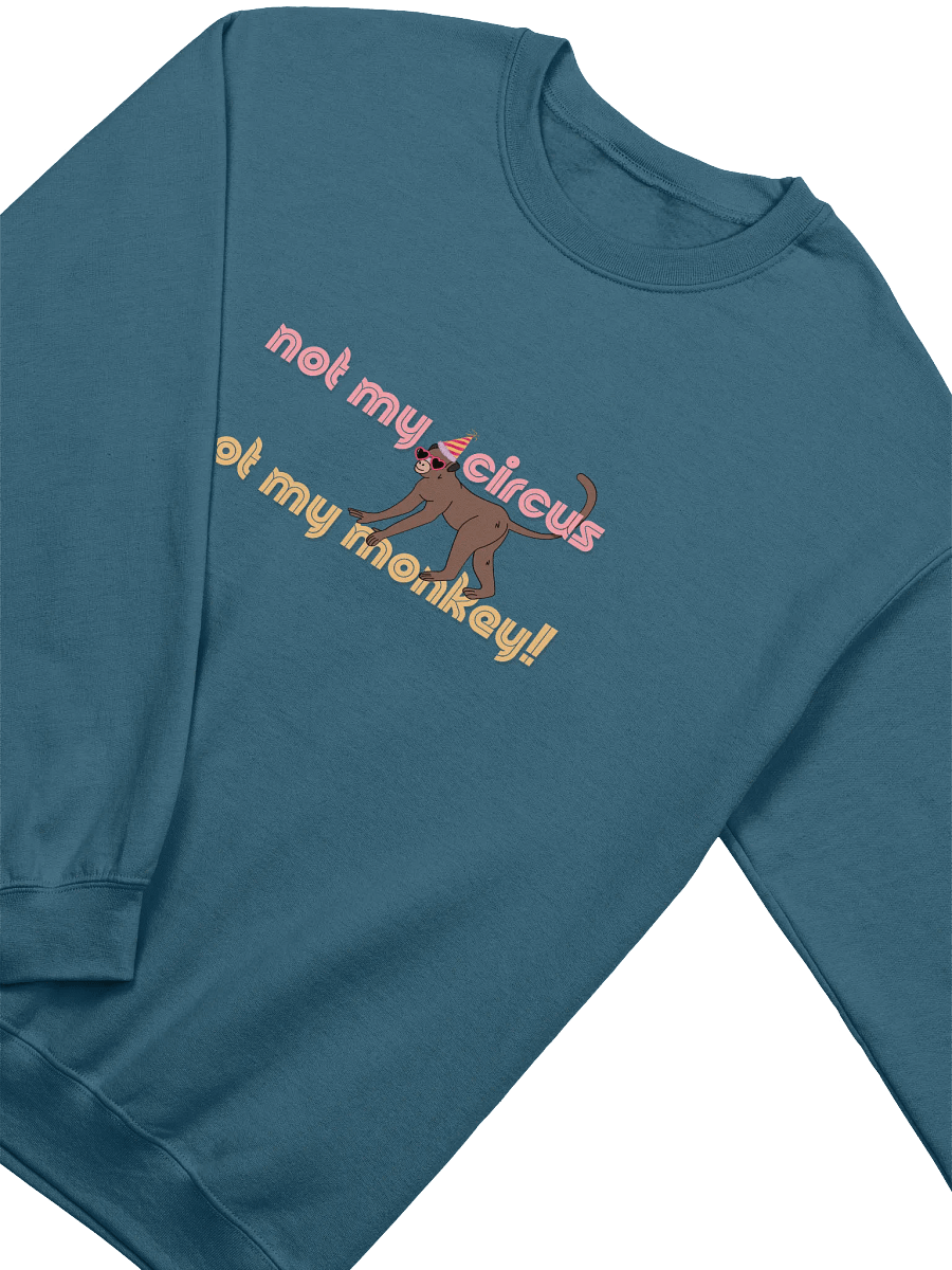 Not My Circus Crewneck Sweatshirt product image (4)