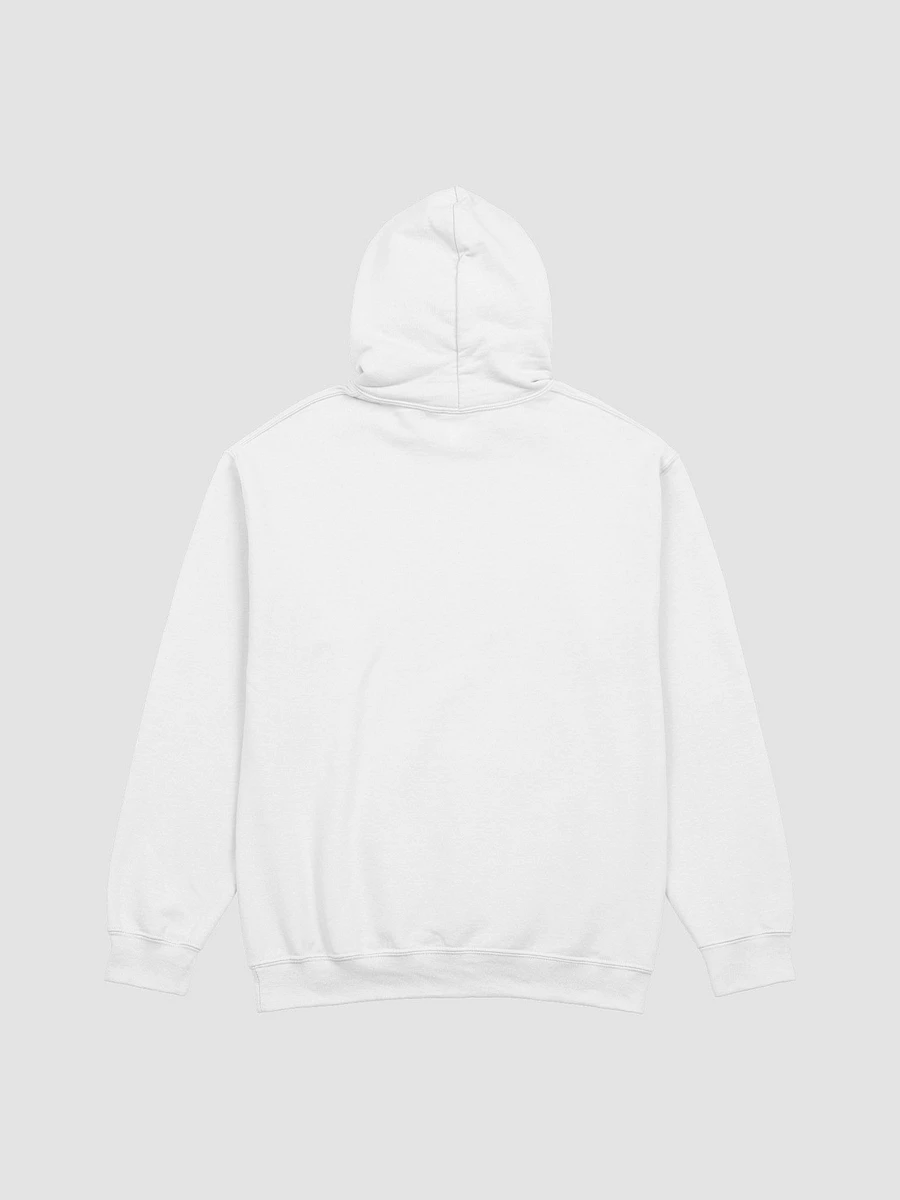 VSK | Hoodie | Black Background product image (10)