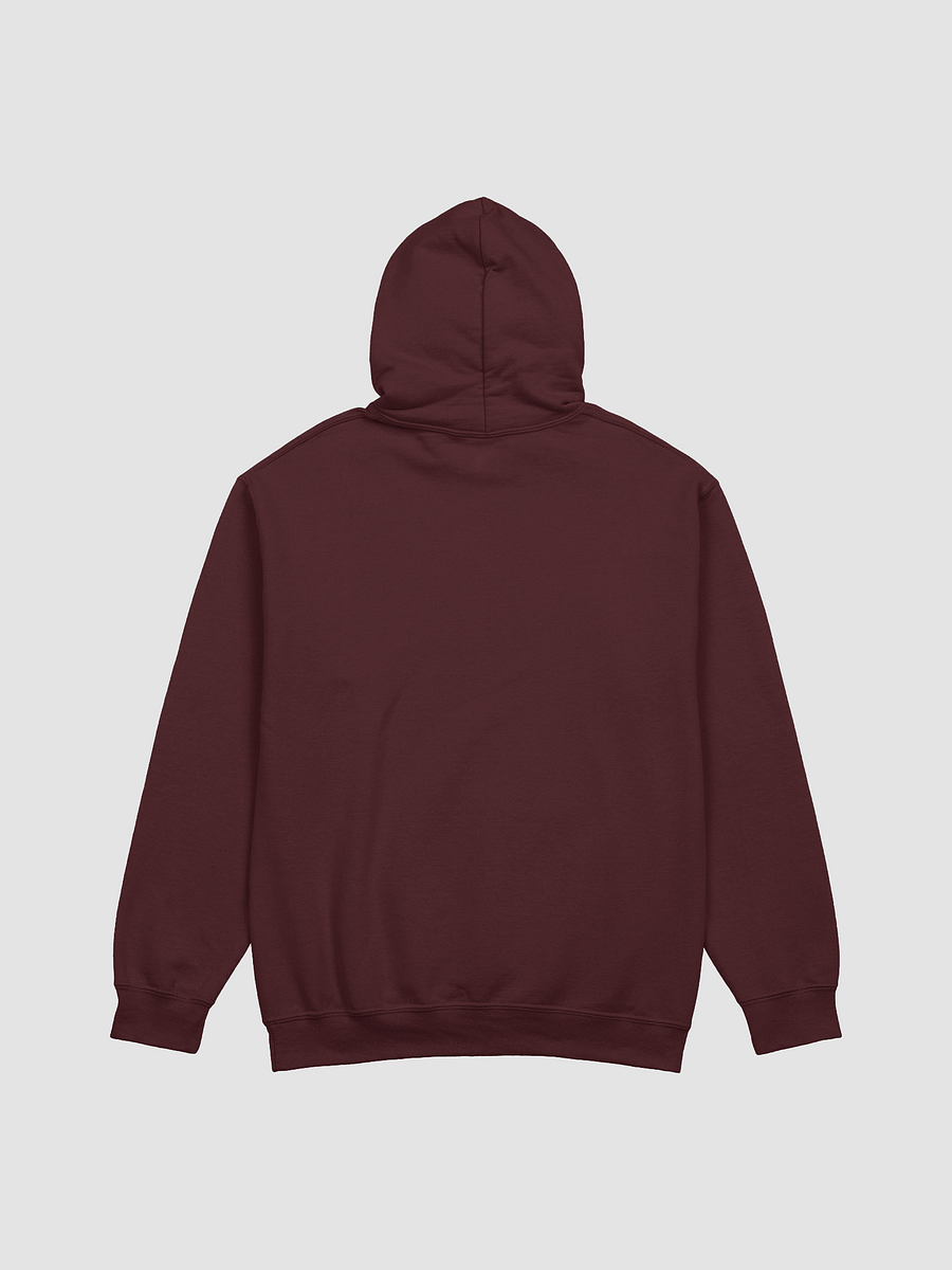 The Donna Howell Show Bible-Flourish Classic Hoodie product image (3)