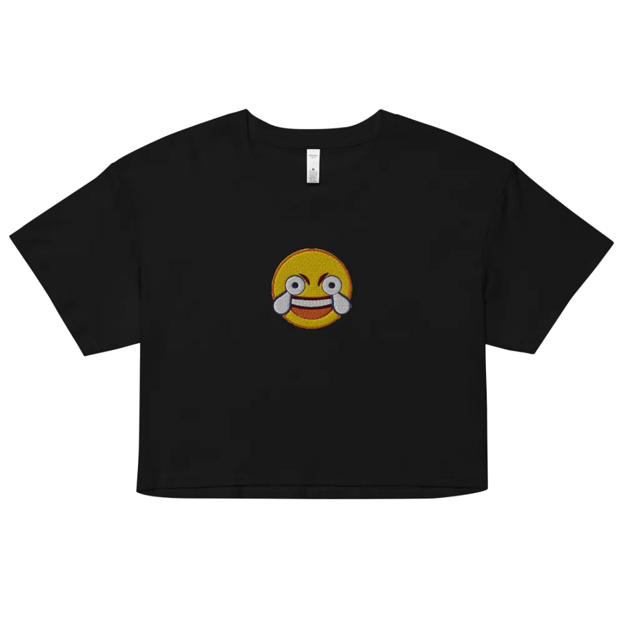 Lul Embroidered Crop Top product image (2)
