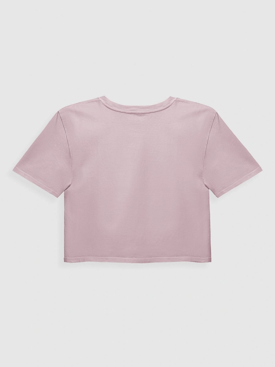 piled books crop top shirt product image (3)