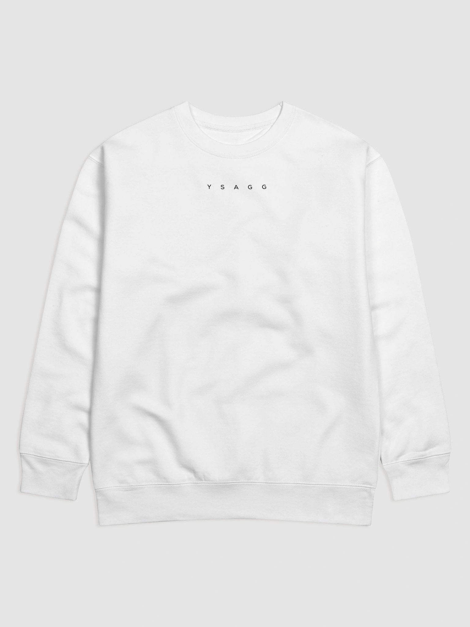 YSAGG Sweatshirt product image (1)