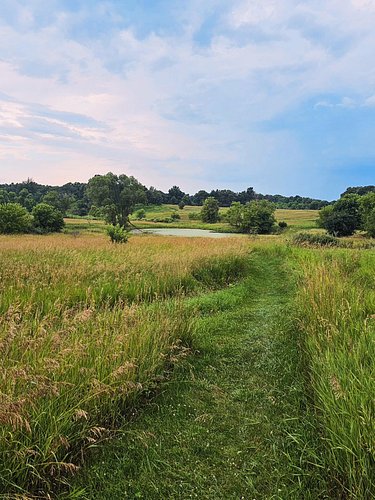Aaron and I are out for our first overnight EVER! So exciting. 🥰 On our way into town for dinner we drove by this nature area...